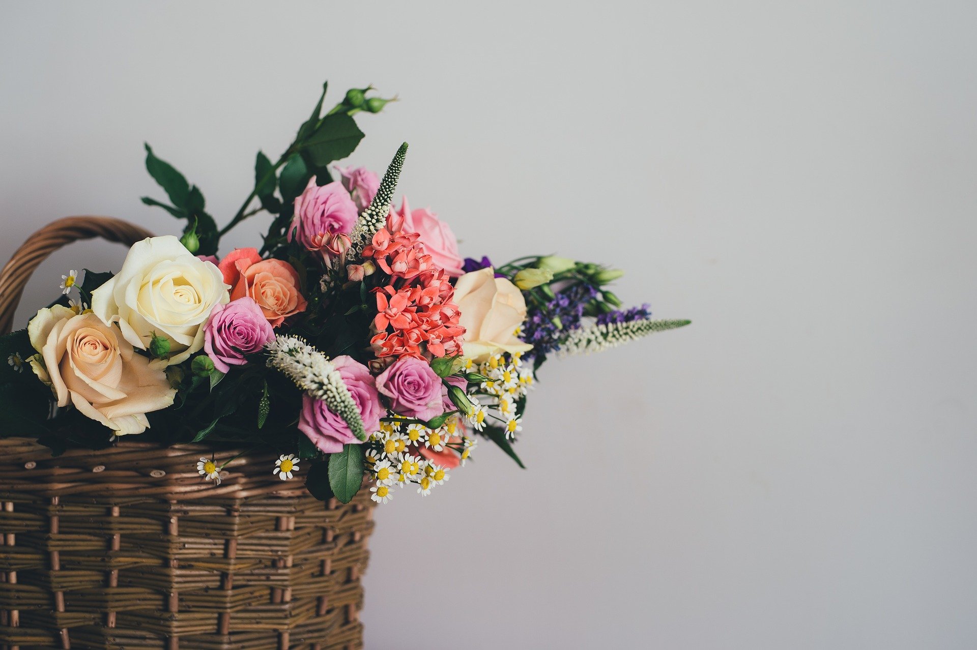 Blumen-Elisabeth-Isen